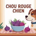 chou rouge chien illustration bol sécurisé