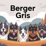 Différentes races de berger gris réunies