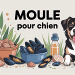 Illustration moule chien frais déshydraté complément