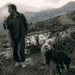 berger corse avec chien et brebis dans le maquis