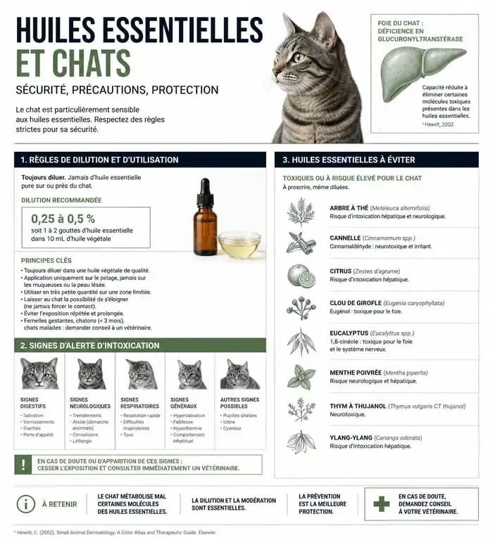 Infographie sur la sécurité et l'utilisation des huiles essentielles pour chat : dilution et précautions