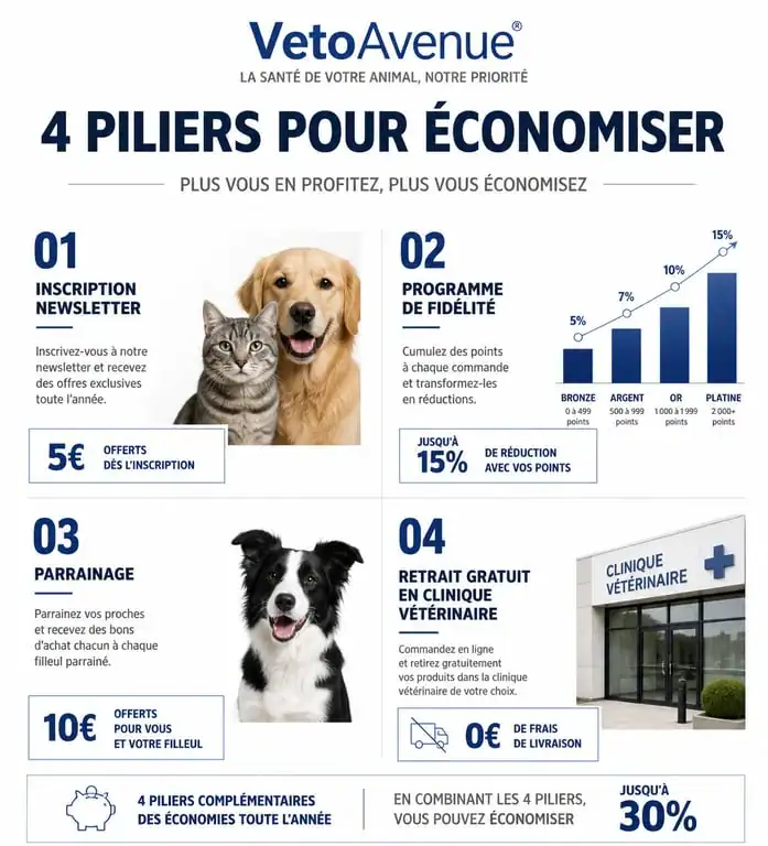 Infographie des astuces pour utiliser un code promo VetoAvenue et économiser sur ses achats vétérinaires