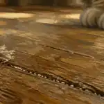 Oeuf de puce visible entre lames de parquet