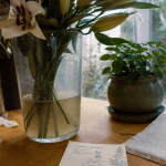 Fleurs toxiques pour les chats : lys et muguet près d’un chat