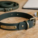 Collier personnalisable chien avec prénom gravé et plaque fixe