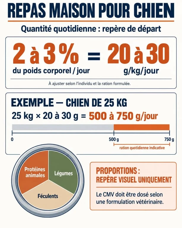 Quantité de repas maison pour chien : repères de 20 à 30 g par kilo et exemple de ration quotidienne